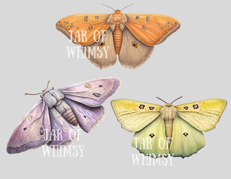 Akvarell pastellmalar Clipart Luna Moth PNG Digitala bildnedladdningar för korttillverkning Scrapbook Junk Journal Papperspyssel bild 10