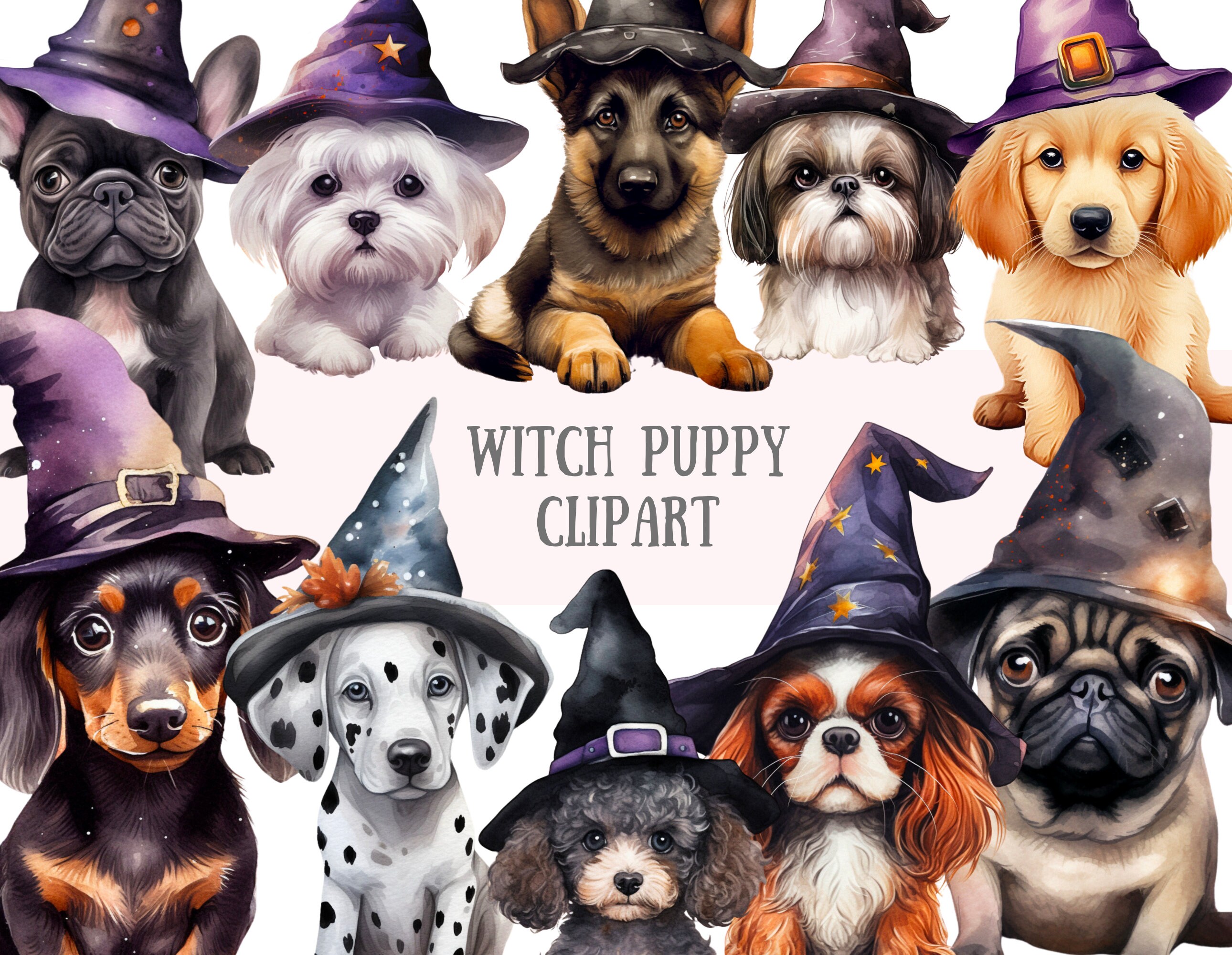Watercolour Witch Puppy Clipart Halloween Puppies PNG Digital Image ...