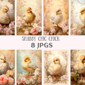 Aquarelle shabby chic poussin Clipart Pâques bébé poussin JPG téléchargements d'images numériques pour la fabrication de cartes scrapbooking journal indésirable papier artisanat