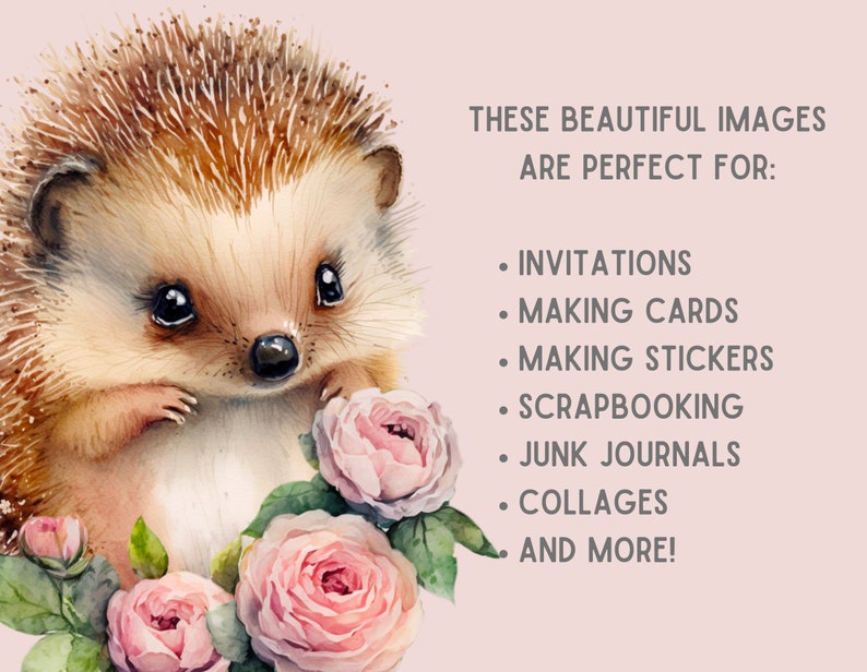 May include: A watercolor illustration of a cute hedgehog with brown fur and black eyes, surrounded by pink roses. The text "THESE BEAUTIFUL IMAGES ARE PERFECT FOR: INVITATIONS, MAKING CARDS, MAKING STICKERS, SCRAPBOOKING, JUNK JOURNALS, COLLAGES AND MORE!" is written in black text on a light pink background.
