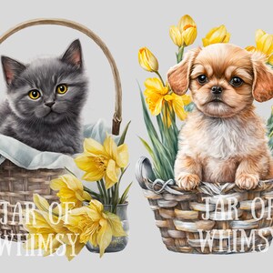 May include: Two wicker baskets with a gray kitten and a brown puppy inside. Both baskets are filled with yellow daffodils and the text "Jar of Whimsy" is printed on the front of each basket.