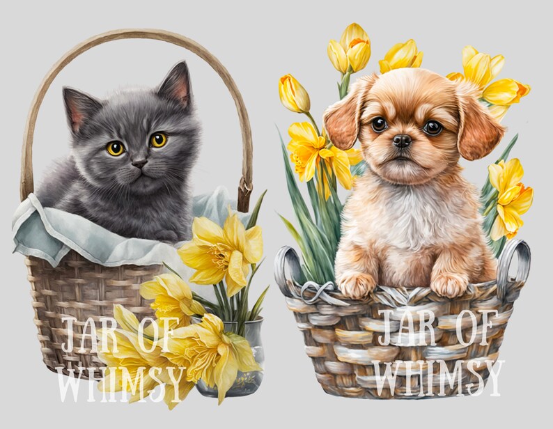 May include: Two wicker baskets with a gray kitten and a brown puppy inside. Both baskets are filled with yellow daffodils and the text "Jar of Whimsy" is printed on the front of each basket.