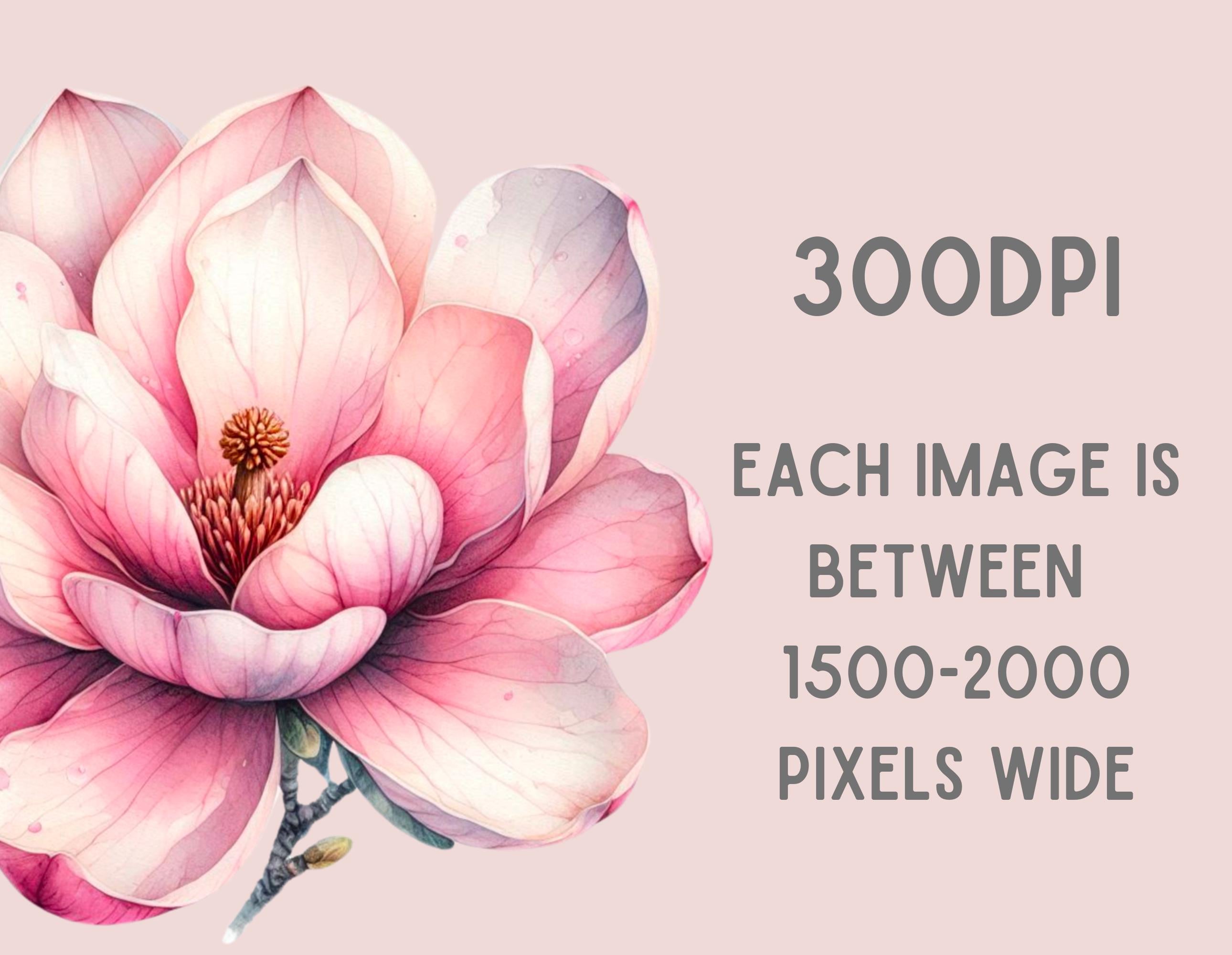 水彩画 花 ピンク系 水彩 ピンク 花の写真 - 無料の高画質写真をダウンロード | Freepik