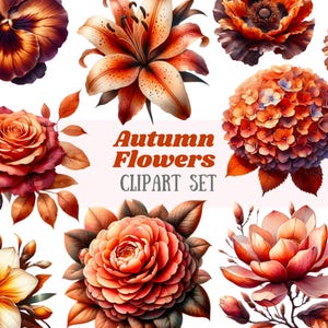 Aquarelle fleurs d'automne Clipart éléments de fleurs d'automne PNG à téléchargements d'images numériques pour la fabrication de cartes de vœux pour scrapbooking, journal indésirable, travaux manuels en papier