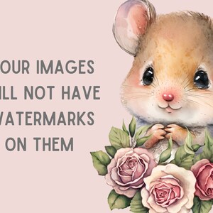May include: A watercolor illustration of a cute brown mouse with big eyes and a pink nose. The mouse is surrounded by pink and white roses with green leaves. The text "YOUR IMAGES WILL NOT HAVE WATERMARKS ON THEM" is written in gray text on a light pink background.