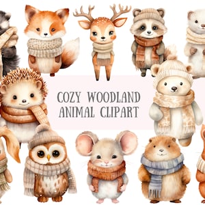 Acquerello accogliente bosco animale Clipart inverno animale PNG download di immagini digitali per la creazione di cartoline scrapbook spazzatura giornale mestieri di carta