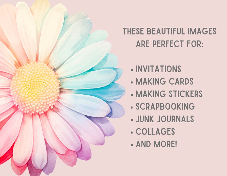 May include: A watercolor painting of a colorful daisy with pink, yellow, blue, and purple petals. The text "THESE BEAUTIFUL IMAGES ARE PERFECT FOR: &bull; INVITATIONS &bull; MAKING CARDS &bull; MAKING STICKERS &bull; SCRAPBOOKING &bull; JUNK JOURNALS &bull; COLLAGES &bull; AND MORE!" is written in white text on a light pink background.