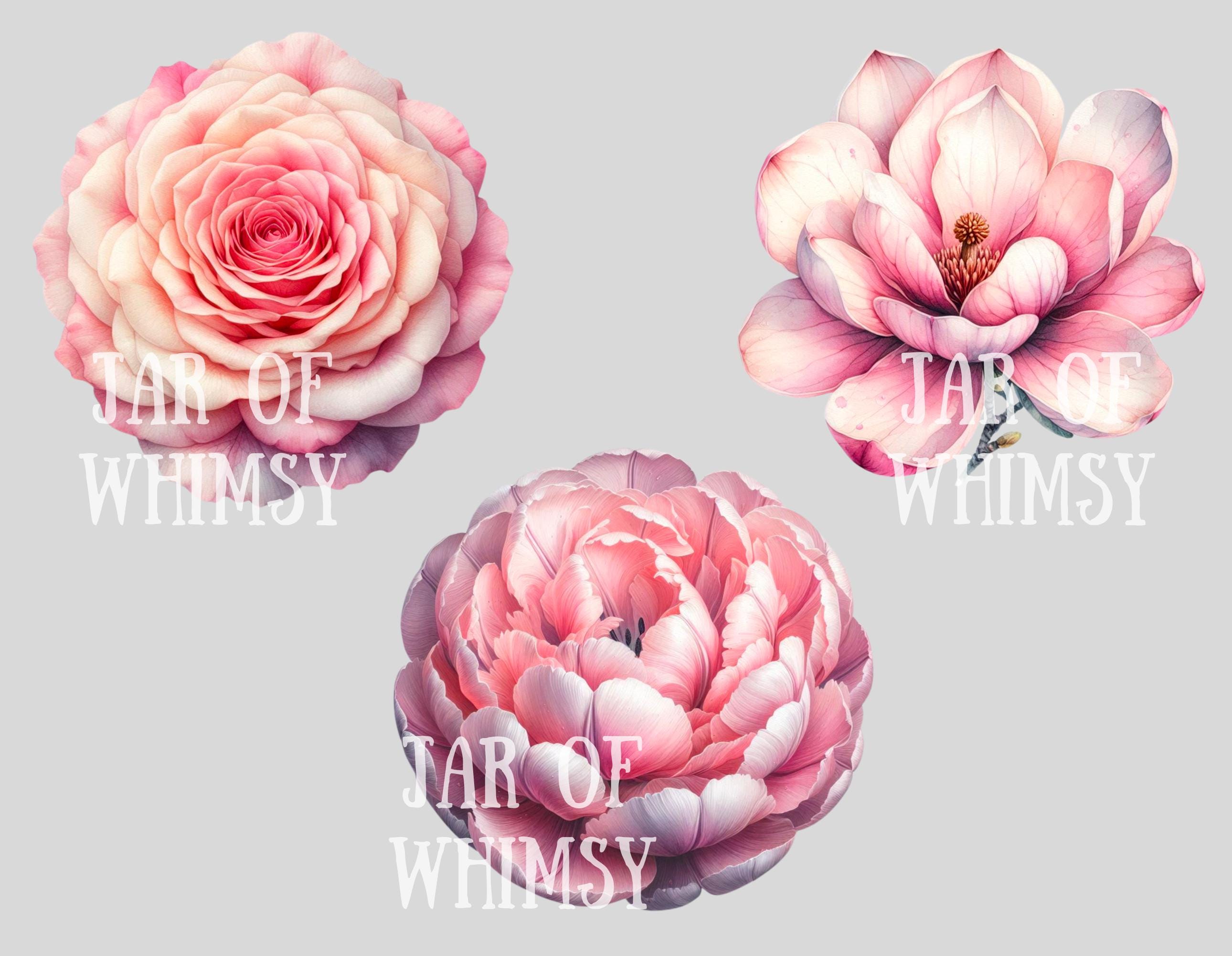 水彩画 花 ピンク系 水彩画 淡いピンクの花 クリップアート 春の花の要素 PNG デジタル画像