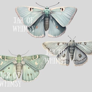 Akvarell pastellmalar Clipart Luna Moth PNG Digitala bildnedladdningar för korttillverkning Scrapbook Junk Journal Papperspyssel bild 7