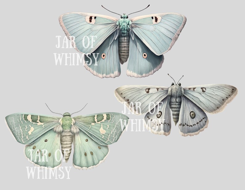 Akvarell pastellmalar Clipart Luna Moth PNG Digitala bildnedladdningar för korttillverkning Scrapbook Junk Journal Papperspyssel bild 7