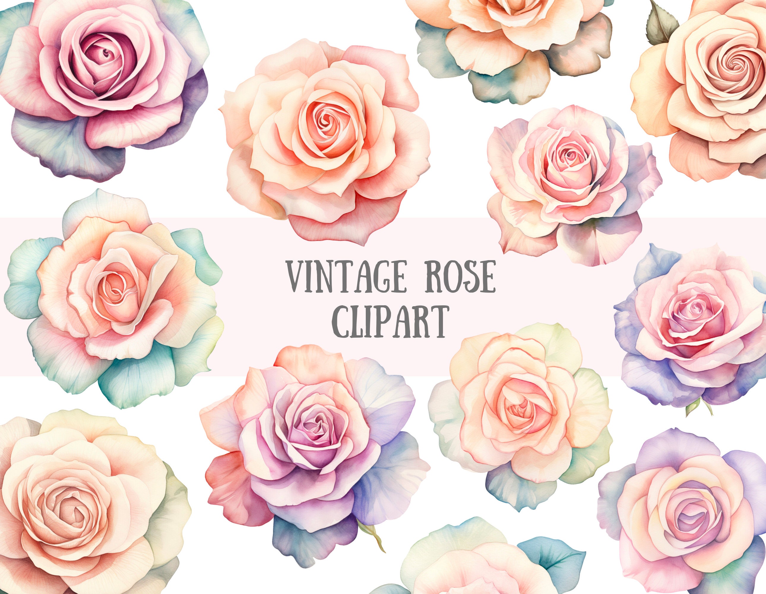 8 Vintage Rosebud Pictures! - The Graphics Fairy