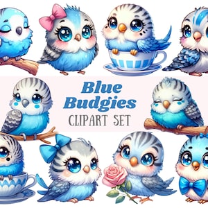 Watercolour Blue Budgie Clipart Chibi Pet Bird Blue Budgerigar PNG Digital Image Download for Card Making Scrapbook Junk Journal Paper Craft