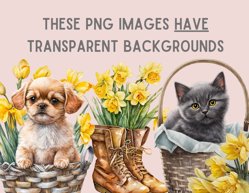 May include: A brown and white puppy sits in a wicker basket with yellow daffodils. A gray kitten sits in a wicker basket with yellow daffodils. Both baskets are on a pink background.