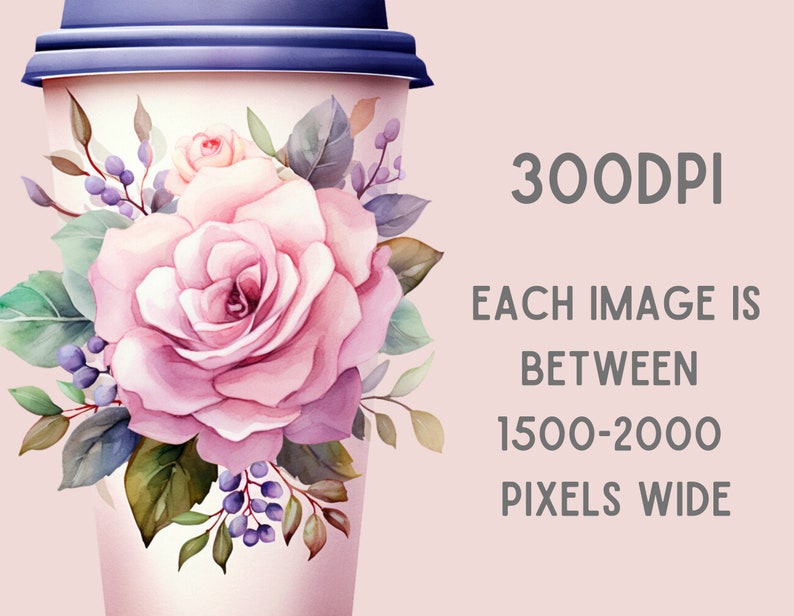 May include: A pink and white watercolor rose with green leaves and purple berries on a white paper coffee cup.