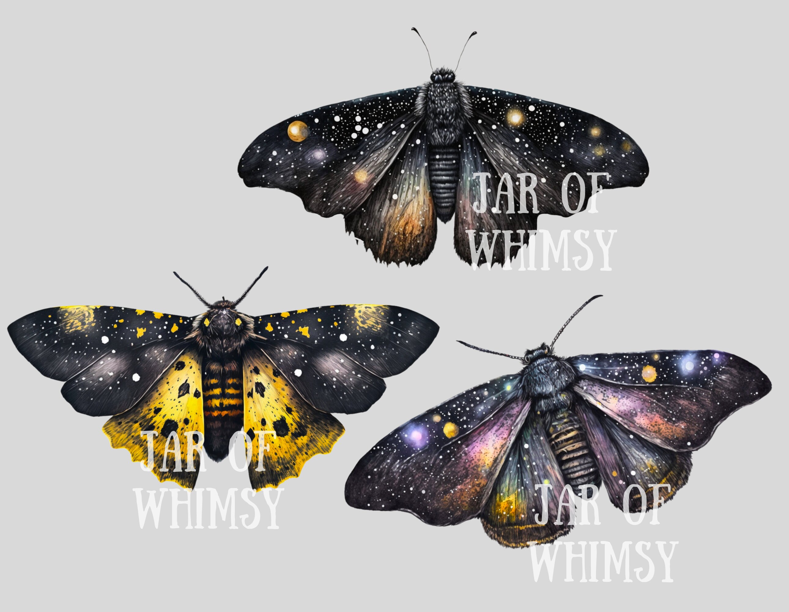 Watercolour Galaxy Moths Clipart Celestial Moth PNG Digital Image ...