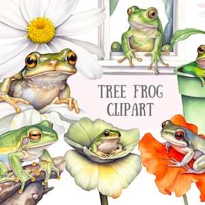 Aquarelle grenouille d'arbre Clipart mignon grenouille verte PNG Image numérique à télécharger pour la fabrication de cartes Scrapbook Junk Journal travaux manuels en papier