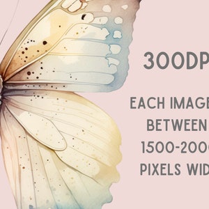 May include: A watercolor painting of a butterfly with brown, yellow, and blue wings. The butterfly is set against a light pink background. The text "300DPI" and "EACH IMAGE IS BETWEEN 1500-2000 PIXELS WIDE" is also included in the image.