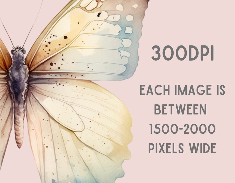 May include: A watercolor painting of a butterfly with brown, yellow, and blue wings. The butterfly is set against a light pink background. The text "300DPI" and "EACH IMAGE IS BETWEEN 1500-2000 PIXELS WIDE" is also included in the image.
