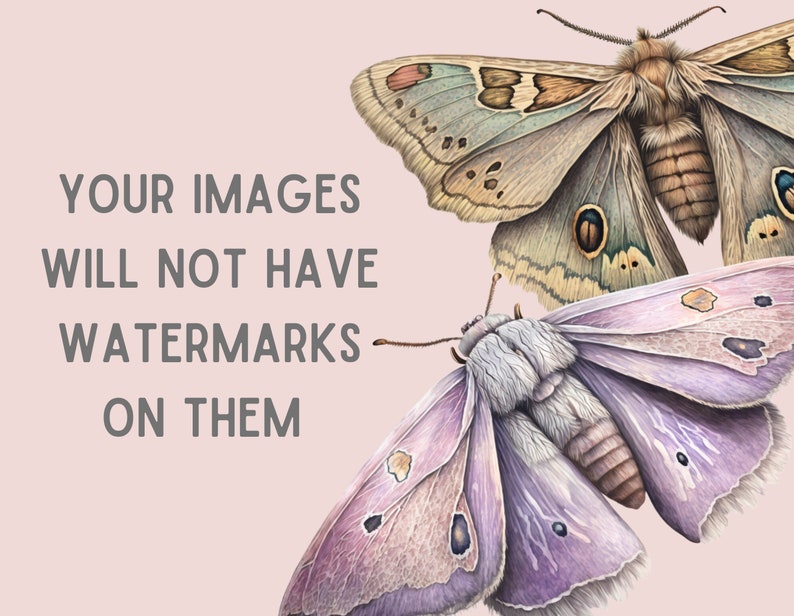 Akvarell pastellmalar Clipart Luna Moth PNG Digitala bildnedladdningar för korttillverkning Scrapbook Junk Journal Papperspyssel bild 4