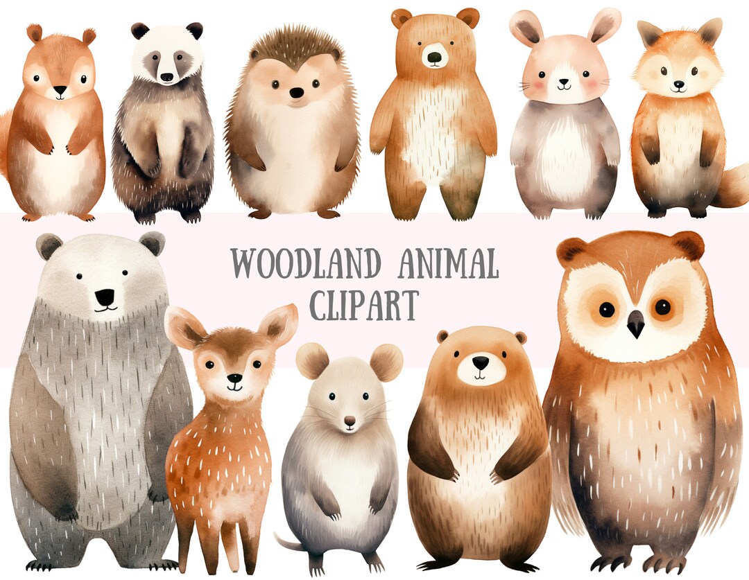 Watercolour Woodland Animal Clipart Boho Fox Deer Bear Bunny PNG ...