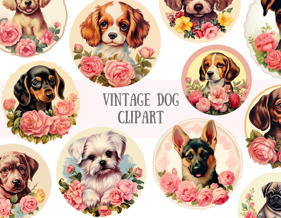 Watercolour Vintage Dog Clipart Puppy Rose Illustration PNG Digital ...
