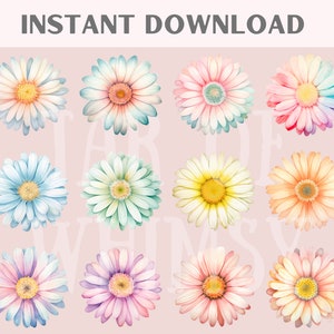 May include: Twelve watercolor illustrations of pastel-colored daisies with yellow centers. The daisies are arranged in four rows of three.