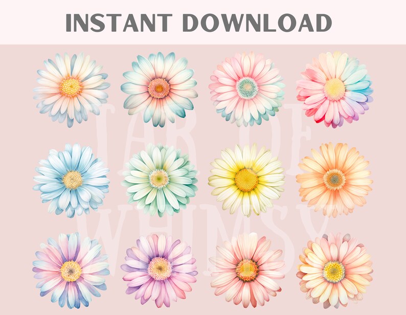 May include: Twelve watercolor illustrations of pastel-colored daisies with yellow centers. The daisies are arranged in four rows of three.