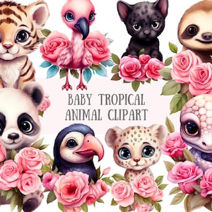 Aquarela Rosa Rosa Tropical Animal Clipart Gráficos Downloads de imagens digitais PNG para fazer cartões Scrapbook Junk Journal Paper Crafts