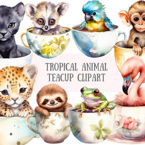 Acquerello tropicale animale tazza da tè Clipart cuccioli di animali PNG Download di immagini digitali per la realizzazione di cartoline Scrapbook Junk Journal Mestieri di carta