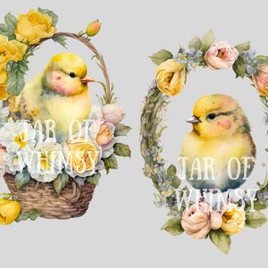 Watercolour Easter Chick Clipart - Spring Easter Basket PNG Digital ...