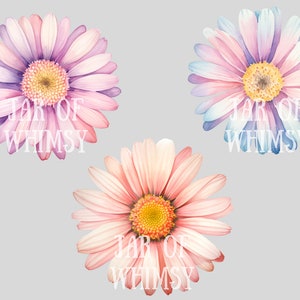 May include: Three watercolor daisy flowers with pink, purple, and blue petals. The flowers have yellow centers and are arranged in a row. The text "JAR OF WHIMSY" is printed on each flower.