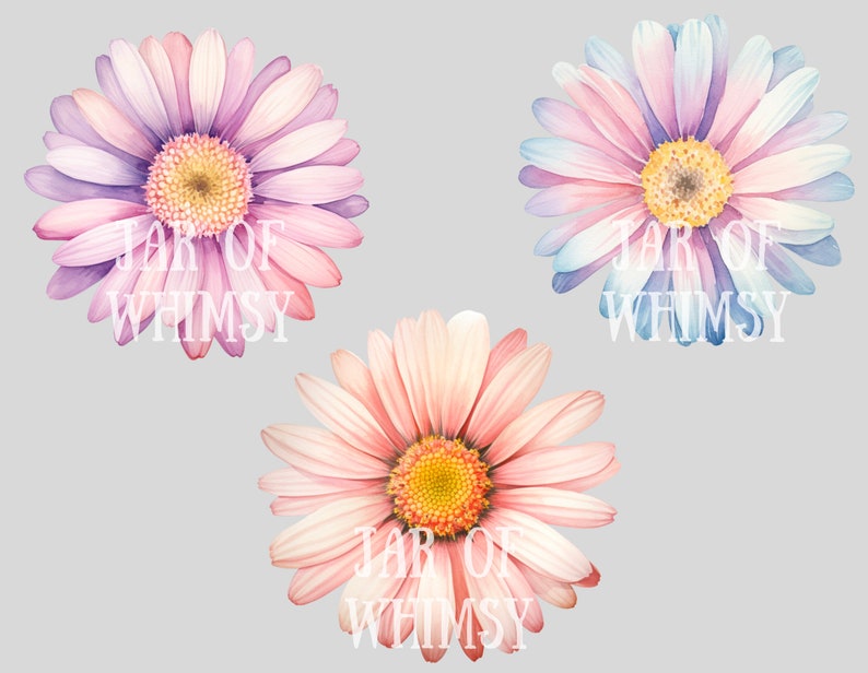 May include: Three watercolor daisy flowers with pink, purple, and blue petals. The flowers have yellow centers and are arranged in a row. The text "JAR OF WHIMSY" is printed on each flower.