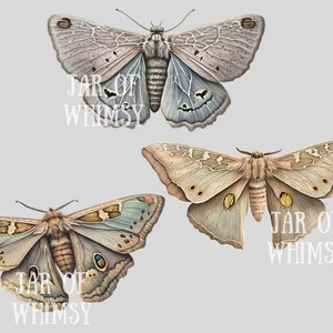 Akvarell pastellmalar Clipart Luna Moth PNG Digitala bildnedladdningar för korttillverkning Scrapbook Junk Journal Papperspyssel bild 8