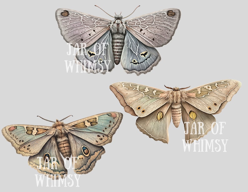 Akvarell pastellmalar Clipart Luna Moth PNG Digitala bildnedladdningar för korttillverkning Scrapbook Junk Journal Papperspyssel bild 8
