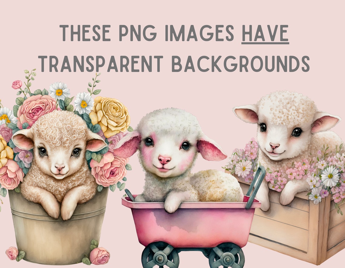 Watercolour Spring Lambs Clipart - Easter Lambs PNG Digital Image ...