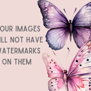 May include: Two watercolor butterflies on a pink background. The top butterfly is purple and the bottom butterfly is pink with black spots.