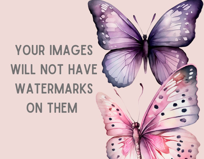 May include: Two watercolor butterflies on a pink background. The top butterfly is purple and the bottom butterfly is pink with black spots.