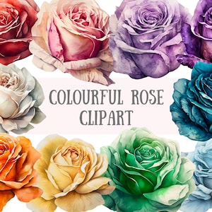 Aquarell bunte Rosen Clipart Frühling Blume PNG digitale Bild-Downloads für die Kartenherstellung Scrapbook Junk Journal Papierhandwerk