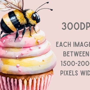 Pu&ograve; includere: Illustrazione ad acquerello di un cupcake sormontato da un'ape. Il cupcake ha una glassa rosa, gialla e bianca con zuccherini. L'ape &egrave; nera e gialla. Il testo dice "300DPI" e "OGNI IMMAGINE &Egrave; TRA 1500-2000 PIXEL DI LARGHEZZA".