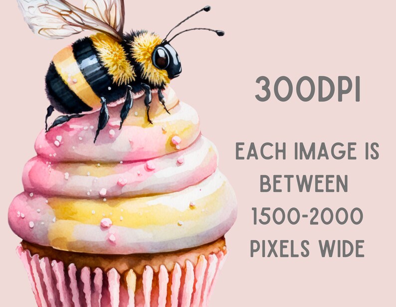 Pu&ograve; includere: Illustrazione ad acquerello di un cupcake sormontato da un'ape. Il cupcake ha una glassa rosa, gialla e bianca con zuccherini. L'ape &egrave; nera e gialla. Il testo dice "300DPI" e "OGNI IMMAGINE &Egrave; TRA 1500-2000 PIXEL DI LARGHEZZA".