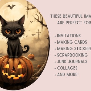 May include: A black cat with orange eyes sits on top of a jack-o'-lantern with a spooky Halloween background. The background includes a full moon, bats, and a spooky house.