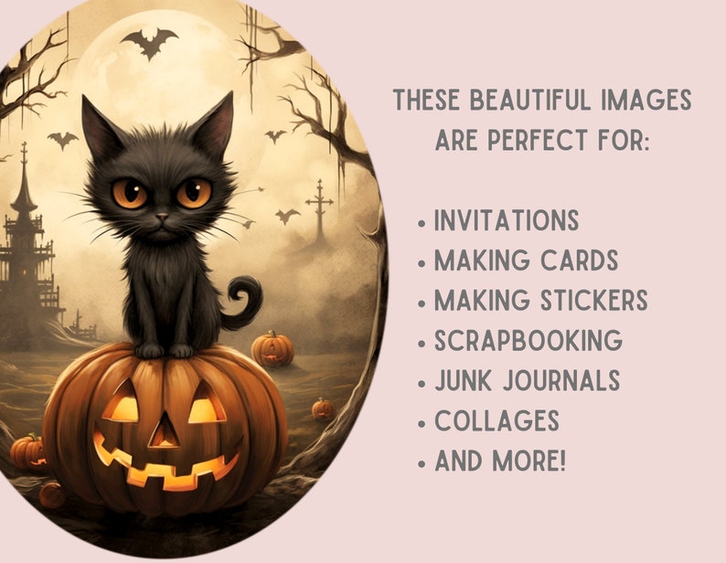May include: A black cat with orange eyes sits on top of a jack-o'-lantern with a spooky Halloween background. The background includes a full moon, bats, and a spooky house.
