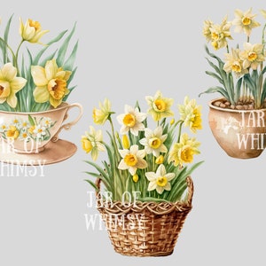 May include: Three watercolor illustrations of daffodils in different containers. The first shows a bouquet of yellow daffodils in a teacup with a saucer. The second shows a bouquet of yellow daffodils in a woven basket. The third shows a bouquet of yellow daffodils in a terracotta pot. All three illustrations have the text "JAR OF WHIMSY" on them.