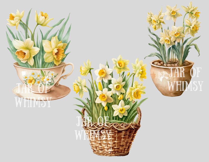 May include: Three watercolor illustrations of daffodils in different containers. The first shows a bouquet of yellow daffodils in a teacup with a saucer. The second shows a bouquet of yellow daffodils in a woven basket. The third shows a bouquet of yellow daffodils in a terracotta pot. All three illustrations have the text "JAR OF WHIMSY" on them.