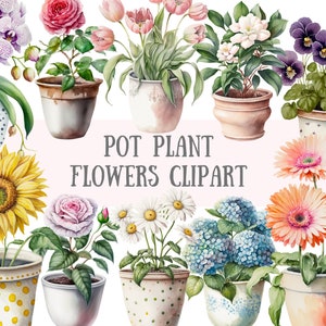 Acuarela Pot Plant Flowers Clipart - Houseplant Love PNG Descargas de imágenes digitales para la fabricación de tarjetas, álbum de recortes, diario basura, artesanías de papel