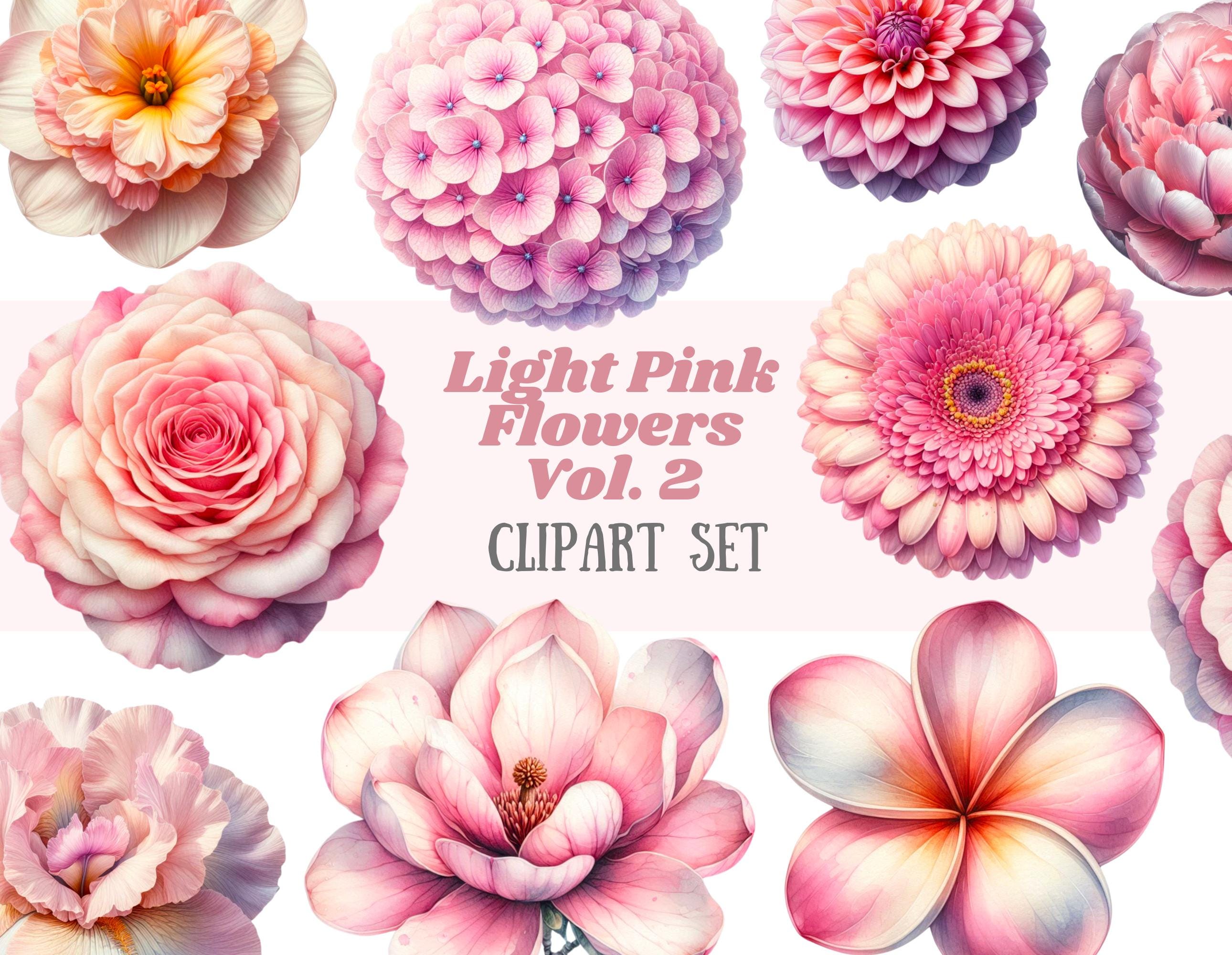 水彩画 淡いピンクの花 クリップアート 春の花の要素 PNG デジタル画像