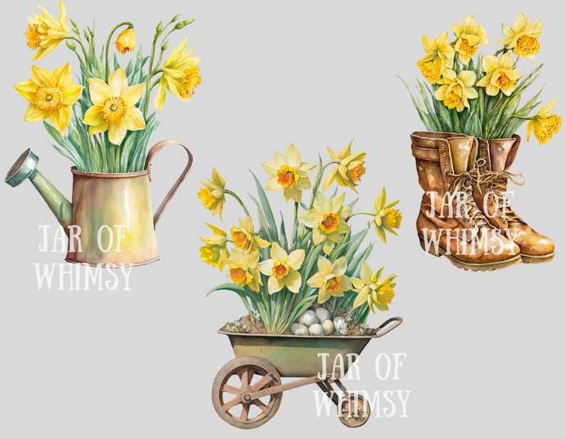 May include: Three watercolor illustrations of daffodils in different containers. The first image shows a yellow watering can with daffodils and the text "JAR OF WHIMSY". The second image shows a wheelbarrow with daffodils and the text "JAR OF WHIMSY". The third image shows a pair of brown boots with daffodils and the text "JAR OF WHIMSY".
