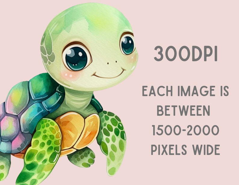 May include: A cartoon illustration of a green sea turtle with big blue eyes and a yellow and orange shell. The turtle is smiling and has a pink blush on its cheeks.