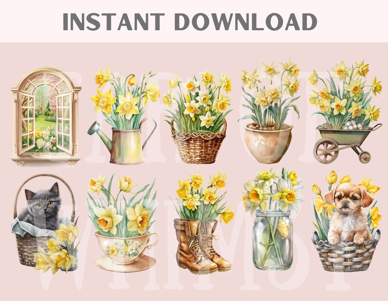 May include: A digital clipart set featuring watercolor illustrations of daffodils in various settings. The set includes a window with a garden view, a watering can, a basket, a potted plant, a wheelbarrow, a teacup, a mason jar, boots, and a basket with a puppy.
