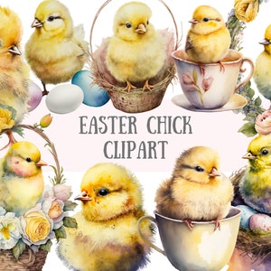 Clipart poussin de Pâques aquarelle - panier de Pâques printemps PNG Image numérique téléchargements pour la fabrication de cartes, scrapbooking, journal indésirable, travaux manuels en papier